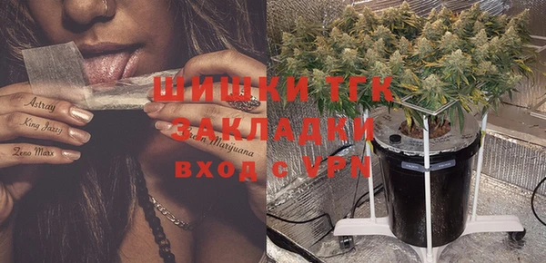 ALPHA PVP Чердынь