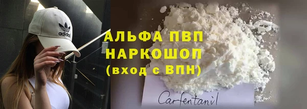 ALPHA PVP Чердынь
