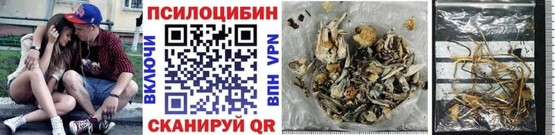 Псилоцибиновые грибы GOLDEN TEACHER  Купить  Саки 